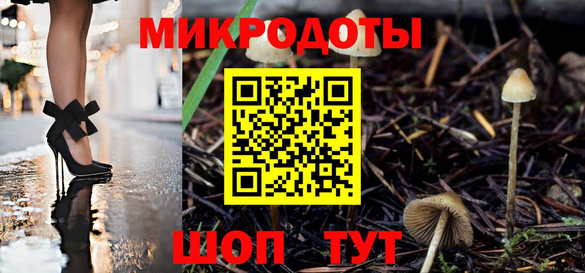 Псилоцибиновые грибы мухоморы Лесозаводск
